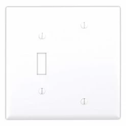 Eaton Wall Plates 2-Gang Wall Plate, White